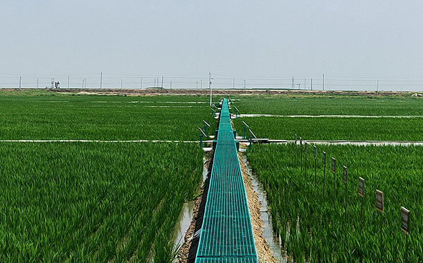 石膏基自流平好用嗎？和水泥砂漿對比后告訴你答案！